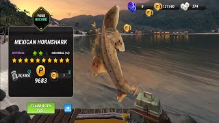 New Record Mexican Hornshark - Fish Clash Gameplay Ep233 screenshot 5