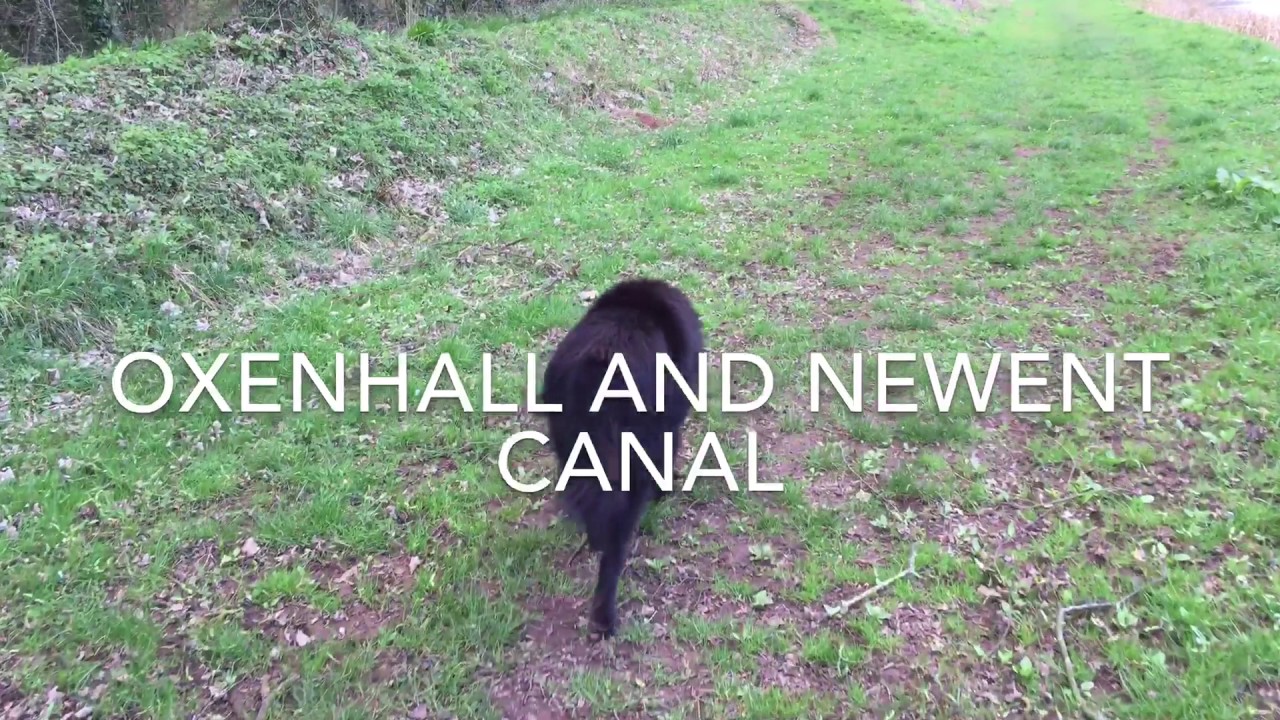 Walk along the old canal