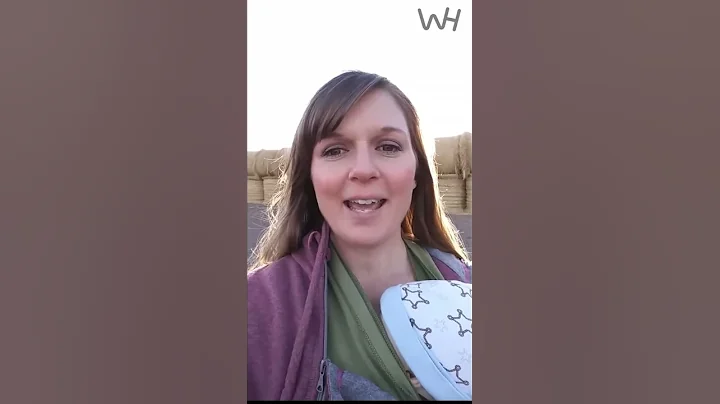 Meet Jolyn Young, the Real Life Ranch Wife