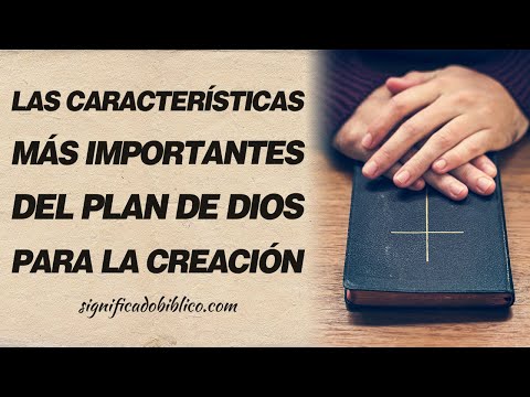 🙏 Las características más importantes del plan de Dios para la creación 🙏