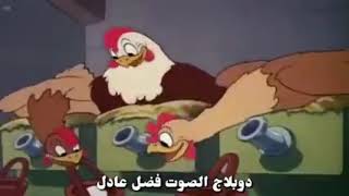 تحشيش الدجاج والبيط