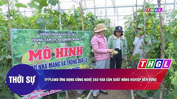 TP Pleiku ứng dụng công nghệ cao vào sản xuất nông nghiệp bền vững