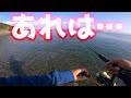 退院した娘にヒラメを食べさせたい……あ、あれは？！