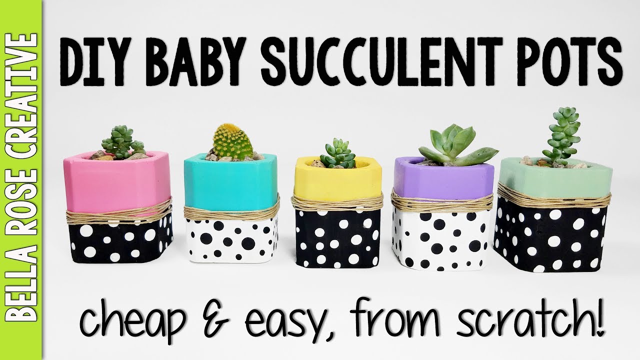 Featured image of post Creative Cute Succulent Pots : These cute planters for succulents makes your succulents an aesthetic addition to your collection &amp; brings a new perspective of growing plants in your house.