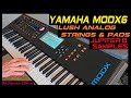 Yamaha MODX6 Jupiter-8 Samples Lush Analog Strings Pads Synthesizer Rik Marston