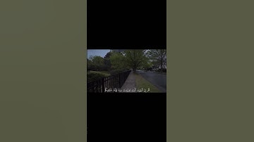 سورة الجمعة الآية (٨)  القارئ ياسر الدوسري