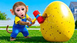 Monkey Bibi Finds a Giant Egg and Discovers an Amazing Surprise Inside