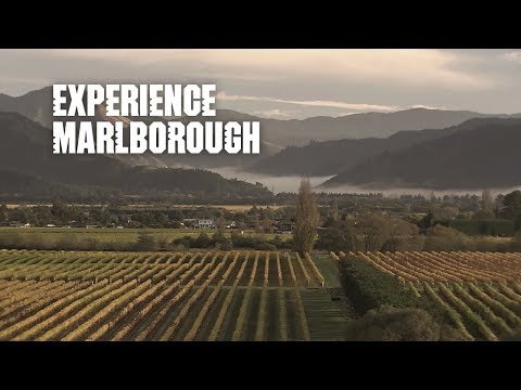 Vídeo: Marlborough Sounds: La guia completa