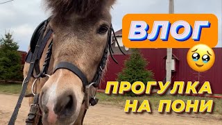 В ПОЛЯХ НА ПОНИ-гуляем и прыгаем |VLOG|