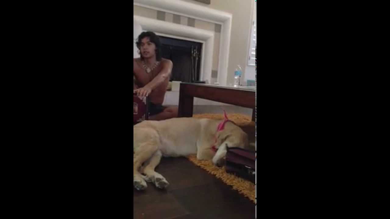 Kirtaniyas doin what they do, SPREADING LOVE through Music