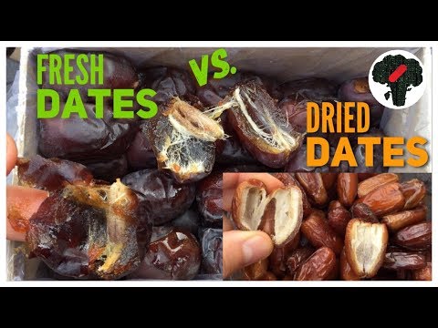 Fresh Dates vs Dried