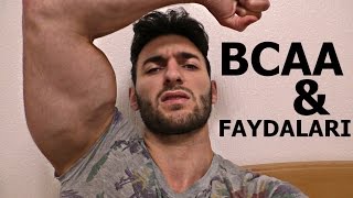 BCAA / FAYDALARI NELER / Vücüt geliştirme / Supplement / Protein / Amino asit Shredded Brothers