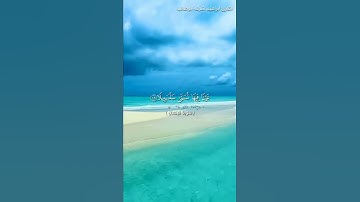 ويسقون فيها كاسا كان مزاجها زنجبيلا / بصوت القارئ ابراهيم شرف ابوطالب