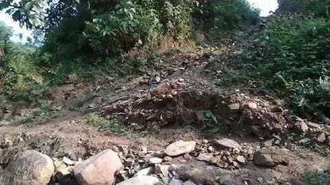 Hành trình đi tìm hạt Mắc Khén