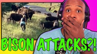 Join in my journey to 10,000 subscribers!!!! subscribe, like, comment
and share!!!! shocking video shows a bison dragging thrashing woman
south da...