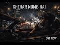 Shehar Numb Hai – NIKZZ | (Official Audio)