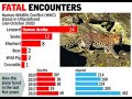 Visual Series "Man-eaters of Uttarakhand" - Tableau Dashboard @Description