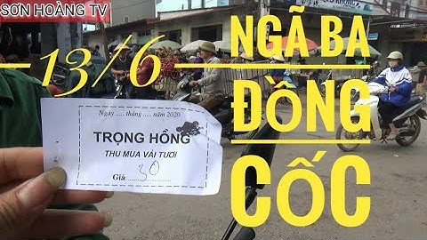 Cập nhật giá vải thiều lục ngạn 13/6/2020 tại cầu chét phì điền ( Luc Ngan litchi )