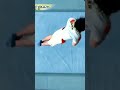 Can You Spot A Deduction? #gymnasticsbars #kohei #uchimura #flips #perfect #gymnast #shorts