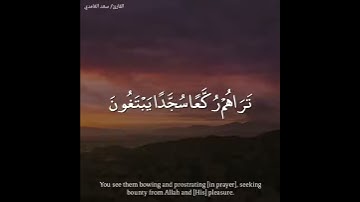 سعد الغامدي أواخر سورة المجادلة
