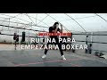 Rutina para empezar a boxear (Parte 2 de 2)