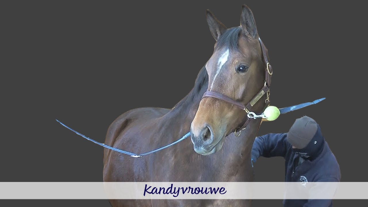 A Day in the Life of Kandyvrouwe at Iron Spring Farm, March 2021