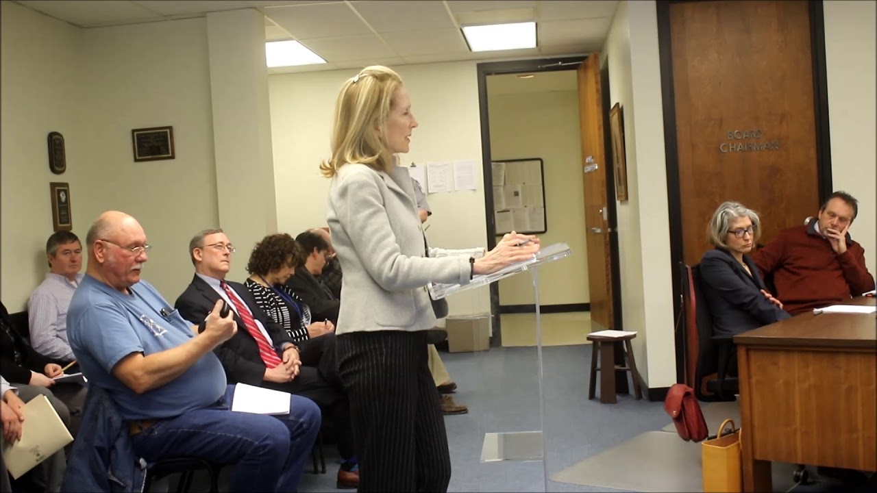 Otsego County Board of Representatives 030619 YouTube