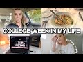 college week in my life: finals week edition!