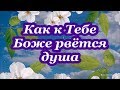 ФОНОГРАММА Как к Тебе Боже рвётся душа