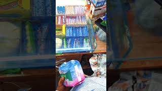 Father Vs Son - Buying Pads