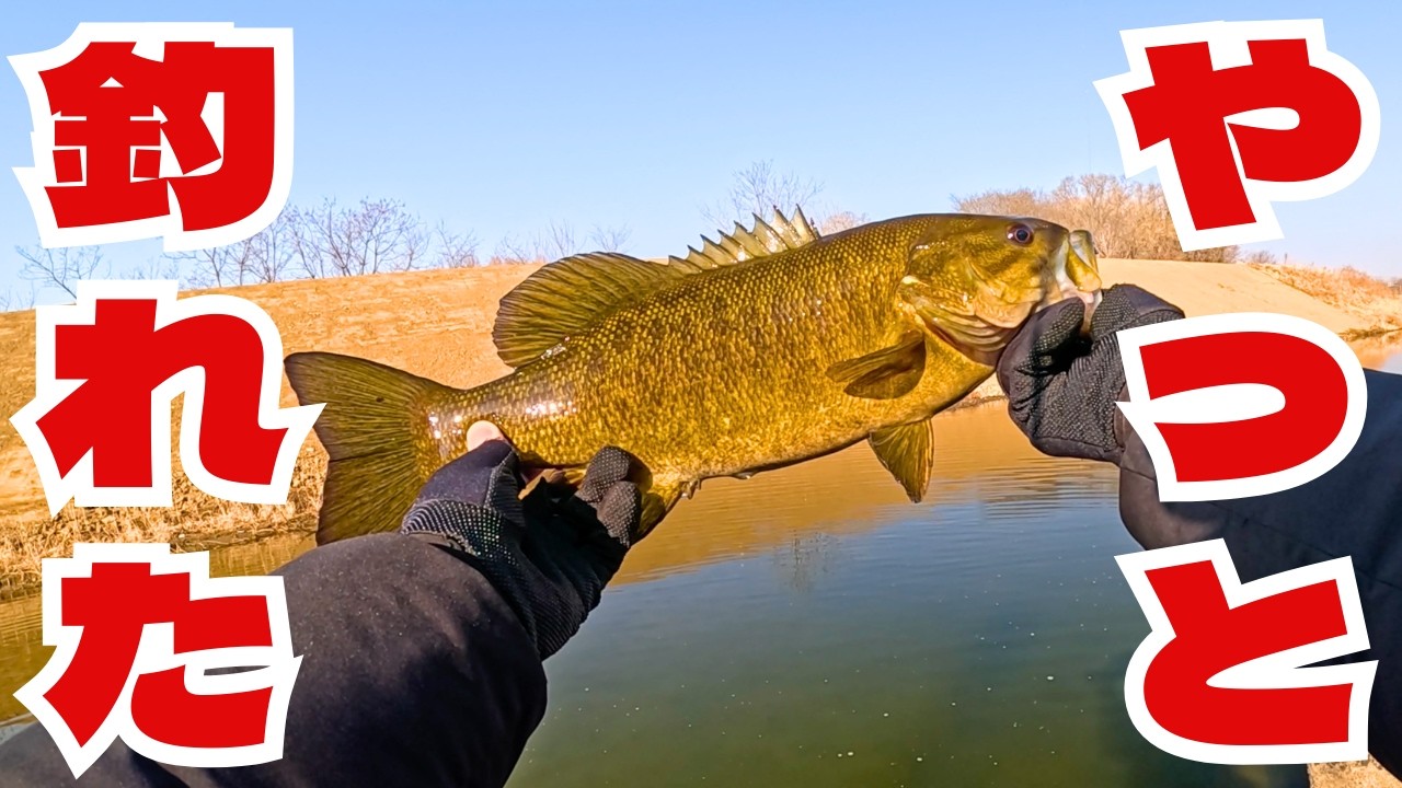 ようやく初バス釣れました。。。！