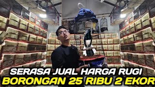 Download Lagu BONGKAR GEDEN ! UNBOXING CUCAK IJO DAN KACER BODY SUPER DIKIOS ALHAMDULILLAH PASAR PRAMUKA HARI INI MP3