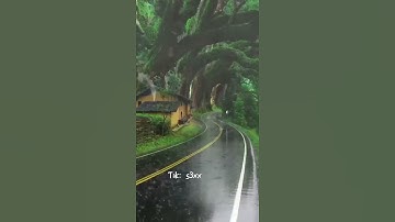 ايات قصيره للقارئ مؤيد المزين ❤️