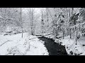 nature beauty and nature sound, beautiful nature calming sound