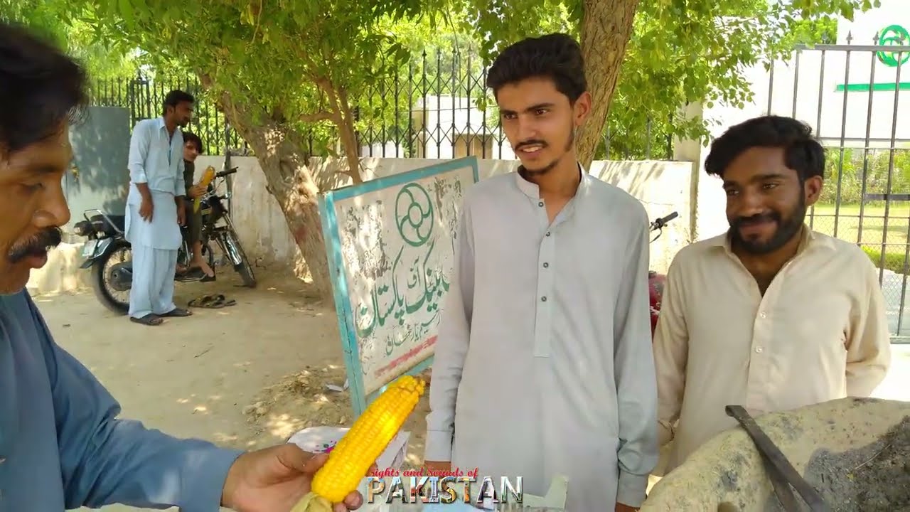 Cooking Corn Cob In Coal Ash | Steamed Corn | Rahim Yar Khan (English/Urdu)