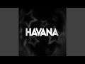 BANGER HAVANA