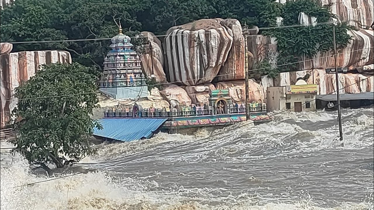 FFB SRD || భారీ వర్షాలకు ఏడుపాయల ముందు ఉదృతంగా ప్రవహిస్తున్న గంగమ్మ తల్లి @FFBSRD 🙏singoor manjera 🙏