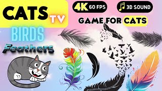 CAT TV  Birds Feathers  Toys For Cats  4K  60fps [CATS GAME] NO ADS