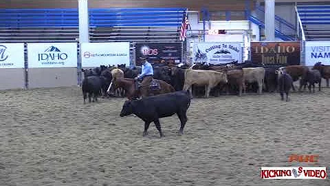 2021 Idaho Futurity Open Classic Challenge Champio...