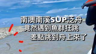 不可思議泛舟竟然遇到魚群在身邊狂跳太壯觀了南澳南溪SUP ...