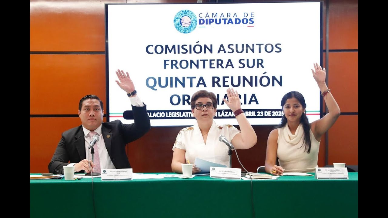 Quinta Reunión Ordinaria de la Comisión de Asuntos Frontera Sur - YouTube