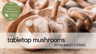 Tabletop Mushrooms by Horticulture Webinar Wednesday 99 views 8 months ago 14 minutes, 6 seconds