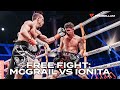 Probellum free fight peter mcgrail shines in probellum debut in dubai uae