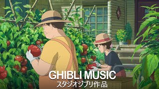 美しい2時間のスタジオジブリ音楽 🔔 ジブリ史上最高のリラックス BGM 🌹 リラックス、勉強、仕事、睡眠のための癒しのジブリプレイリスト