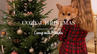 Ready for Christmas  | Living alone in Sweden vlog