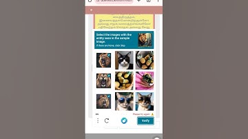 G.C.E (O/L) Result Release : How to check here ?