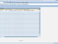 Set Up Cash Journal