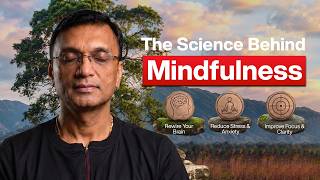 Mindfulness Rewires Your Brain: What Science Says