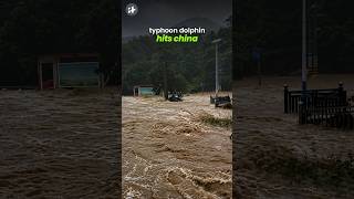 typhoon dolphin hits china, leaves widespread flooding #shorts