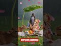 Shiv Shiv Shankara 🔱🚩🙏🌺 #bhakti #shivshankar #short video